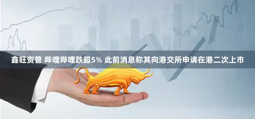 鑫旺资管 哔哩哔哩跌超5% 此前消息称其向港交所申请在港二次上市